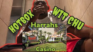 Hotbox at harrahs casino