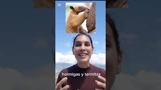 12 de febrero de 2025