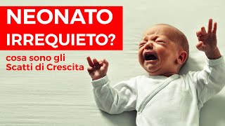 Nicoletta Borrelli-8