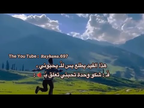 خل نشوف كم وحدة تحبني ري حان ة الش يعي ة ࢪيحانة الفࢪاولاية 313 عصابة ريحانة