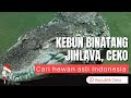 Alasan kenapa saya sangat suka kunjungi kebun binatang di Ceko