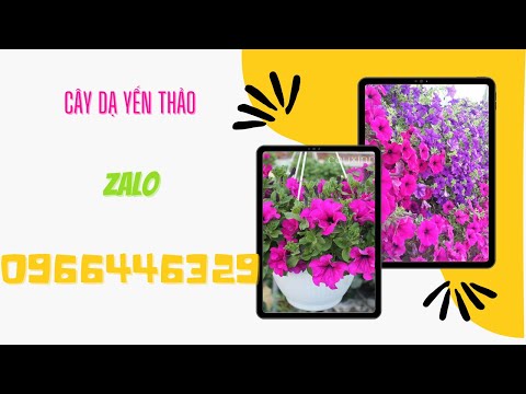 Video: Cách Chuẩn Bị Hạt Giống Hoa Theo Mùa