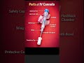 PARTS OF IV CANNULA