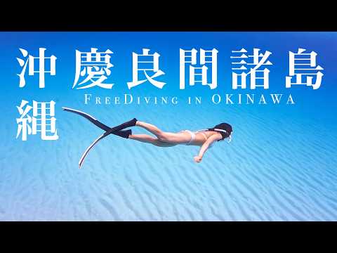 [OREO]沖繩4K慶良間諸島自潛透明海