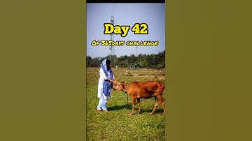 BRAHMA MUHURTA CHALLENGE 🕉️ 42/365#shorts #ytshorts #minivlog #youtubeshorts