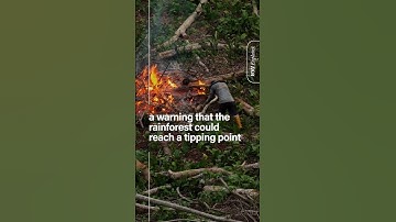 WRI Explains The Land-Use Climate Change Feedback Loop