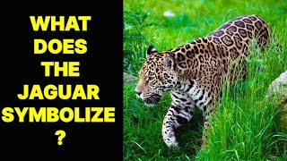 WHAT DOES THE JAGUAR ANIMAL SYMBOLIZE ?