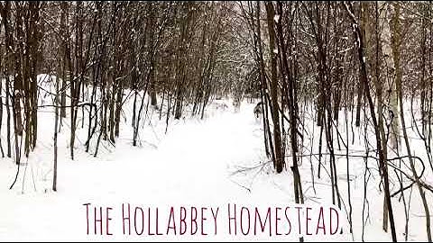 Day 5 insulating the attic