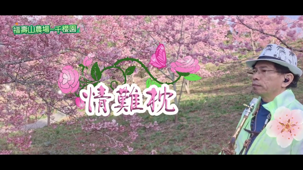 情難枕 林慧萍(Alto C調) 福壽山農場千櫻園