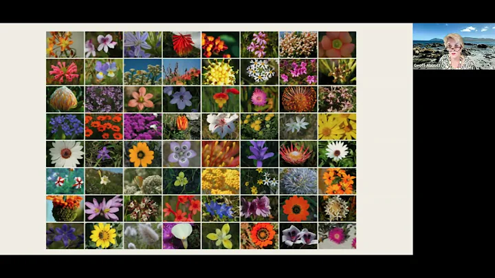 "Cape Town's Unique Flora". Garden talk with Marga...
