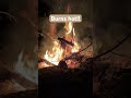 Stump on fire - night burning