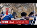 Бейөкмөт уюмдар – коммерциялык эмес уюмдар, булар кимдер? - подкаст BBC Kyrgyz