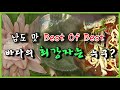 남도별미 BEST3 #병어 #간재미 #매생이 [어영차바다야 다시보기]