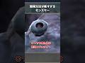 モンハンの繁殖がグロすぎるモンスター3選