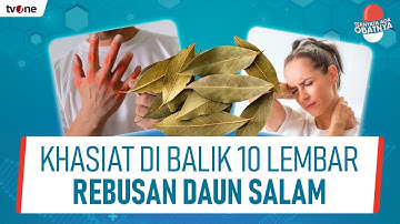 Turunkan Asam Urat dan Tekanan Darah dengan Ramuan Daun Salam