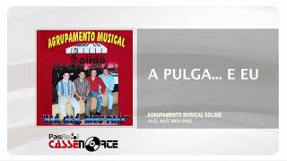 Video thumbnail of "Agrupamento Musical Solidó .  A Pulga...e Eu"