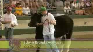 Iowa State Fair - Governor's Charity Steer Show