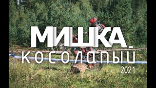 Мишка косолапый 2021. Всё лучше и лучше!