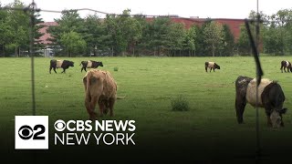 New Jersey farmland owners fighting to stop town from seizing land