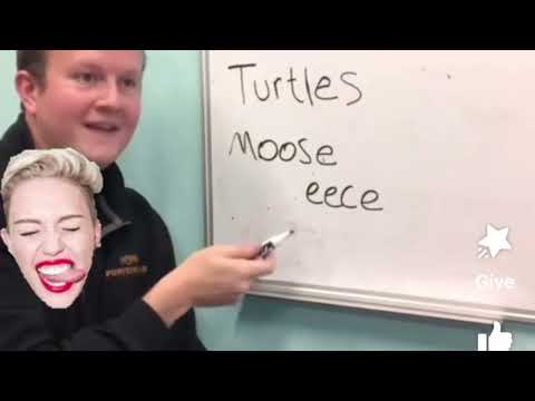 Video: Vai melnais alnis runā angliski?