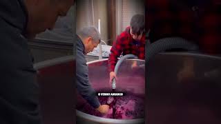 Por Que Ainda Pisam nas Uvas Para Fazer Vinho? 🍷