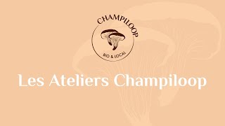 Apprendre à faire pousser des champignons à la maison !