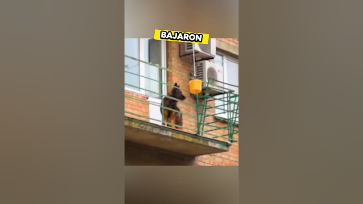 Ellos Rescataron A Un Perro Atrapado Y Sin COMIDA… ❤️ #youtubeshorts