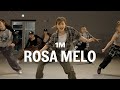 La Gabi - Rosa Melo / Dora Choreography