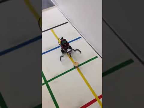 IMG 3806