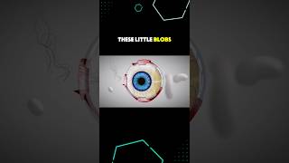 The Magic Fruit that Gets Rid of Eye Floaters