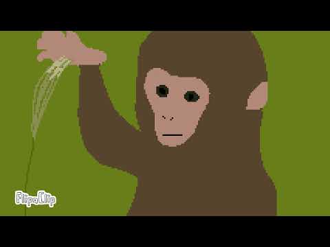 Pixel Monkey - YouTube
