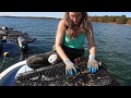 Getting Started in Shellfish and Seaweed Aquaculture