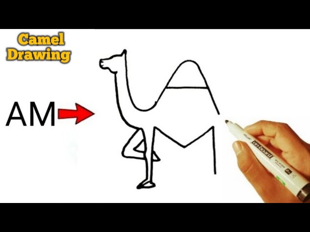 How to Draw a Camel | Design School