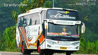 Status Wa | DJ Salah Apa Aku [versi bus Haryanto]