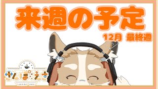 【雑談】来週の予定!!2023/12/25~【#新人Vtuber #さんぽらいぶ】