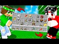 MINECRAFT MA HAI L'INVENTARIO CONDIVISO!