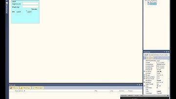 BMI Calculator Visual Basic