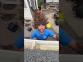 No job Too small! #roofing #trades #construction #roof #ottawa #homeimprovement #diy #work #home