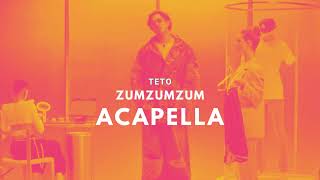 Teto - Zumzumzum [Acapella]