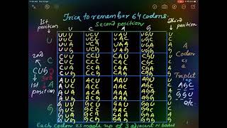 Super trick to remember 64 codons column wise from Phenylalanine to Glycine .Cysteine stopped trying