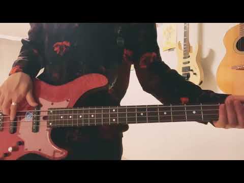 Hakubi-光芒 Bass cover