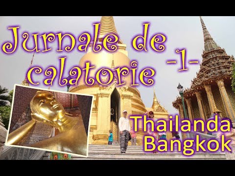 Video: The Library Resort Din Thailanda Este O Escapadă De Vis A Călătorilor Bibliofili