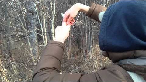 Migration Mystery: Net Extraction