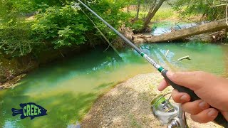 Is This The Best Creek Fishing?
