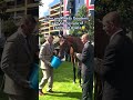 EMILY UPJOHN taking a big gulp after the King George VI and Queen Elizabeth QIPCO Stakes 💦| #Shorts