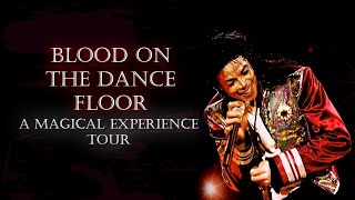 Michael Jackson - Blood On The Dance Floor (16) - A Magical Experience Tour (FANMADE)
