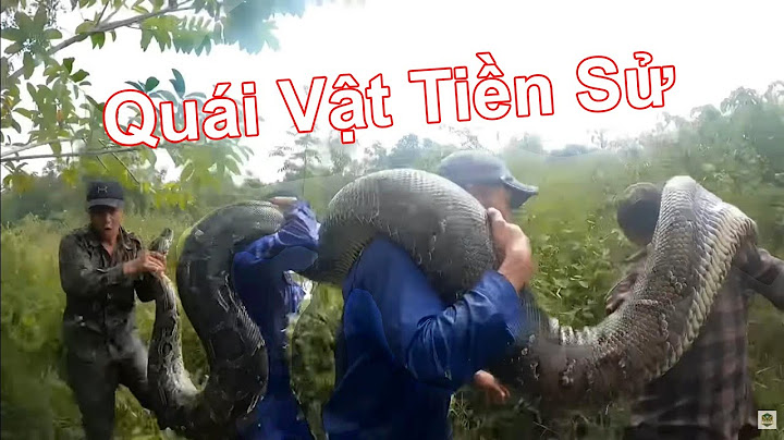 Bắt Trăn Già Quái Vật Dưới Ao, Nọc Rắn Có Hai Màu Sắc, Chữa Rắn Cắn Kỳ Lạ Ở Ấn Độc