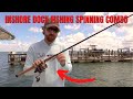 The best value spinning combo for inshore dock fishing