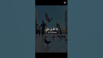 #القرآن الكريم  #اكسبلور  تلاوه خاشعه #المصحف  سوره النحل