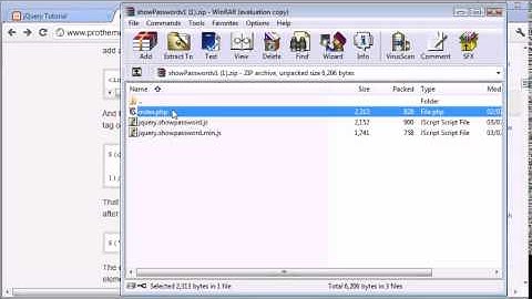 jQuery Tutorial   117   Show password plugin